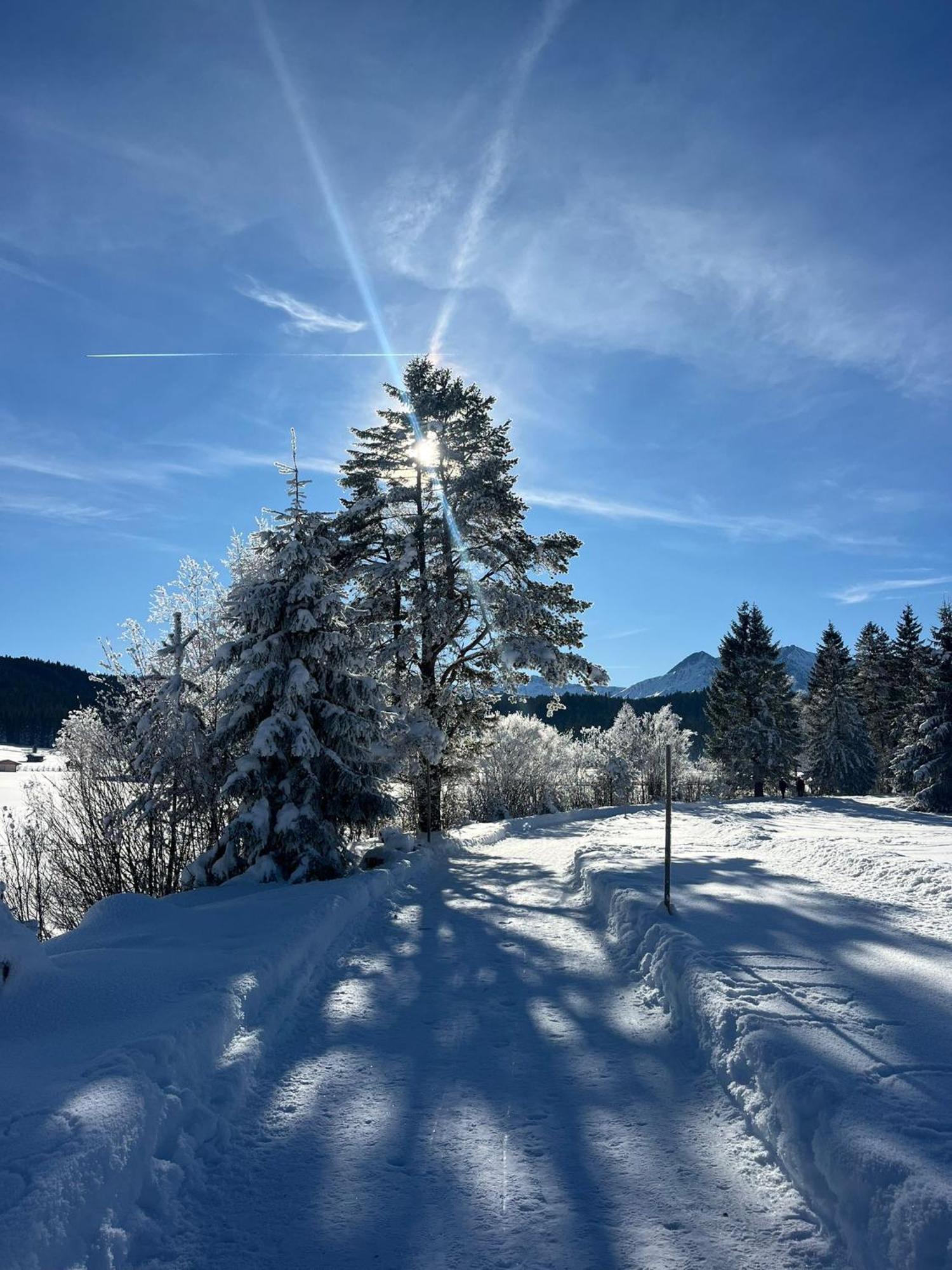 Alpenlandhaus Menardi เซเฟลด์ อิน ทิโรล ภายนอก รูปภาพ